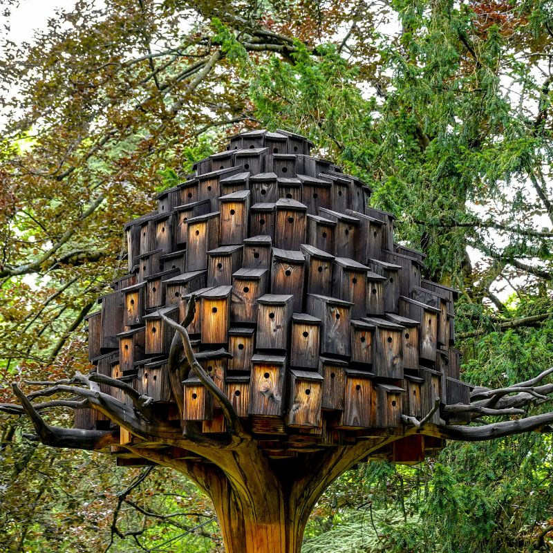 Birdhouses & Shelters