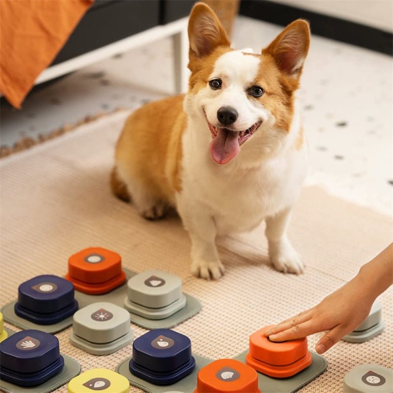 Pet Communication Toy Vocal Training Interactive Bell Ringer With Pad and Sticker 4 Colors