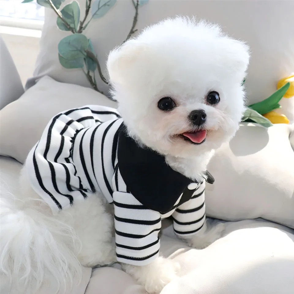 Striped Summer Dog Dress – Fashionable, Leashable & Ultra-Soft Outfit for Stylish Pups