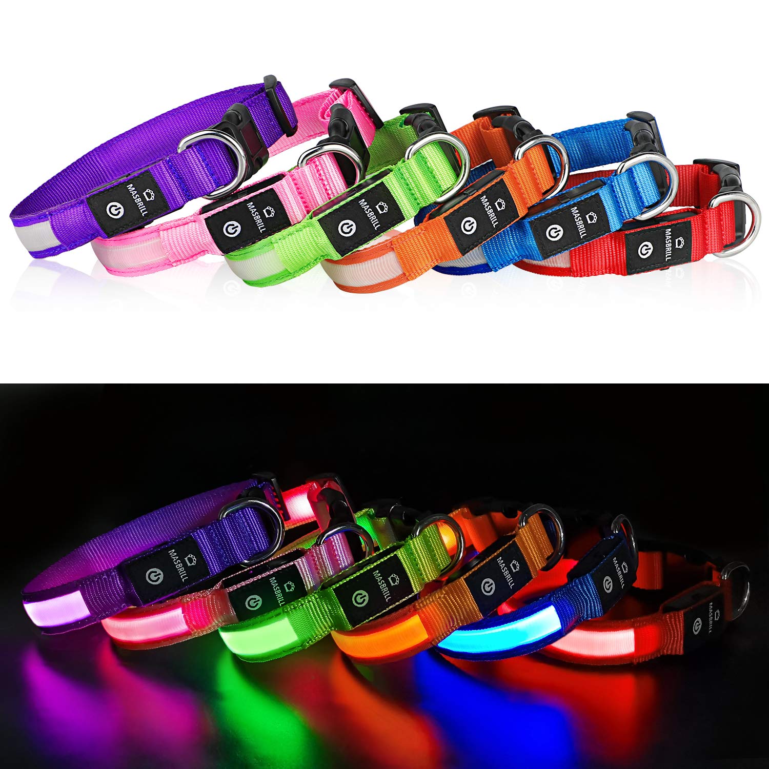 Custom LED Dog Collar with Name