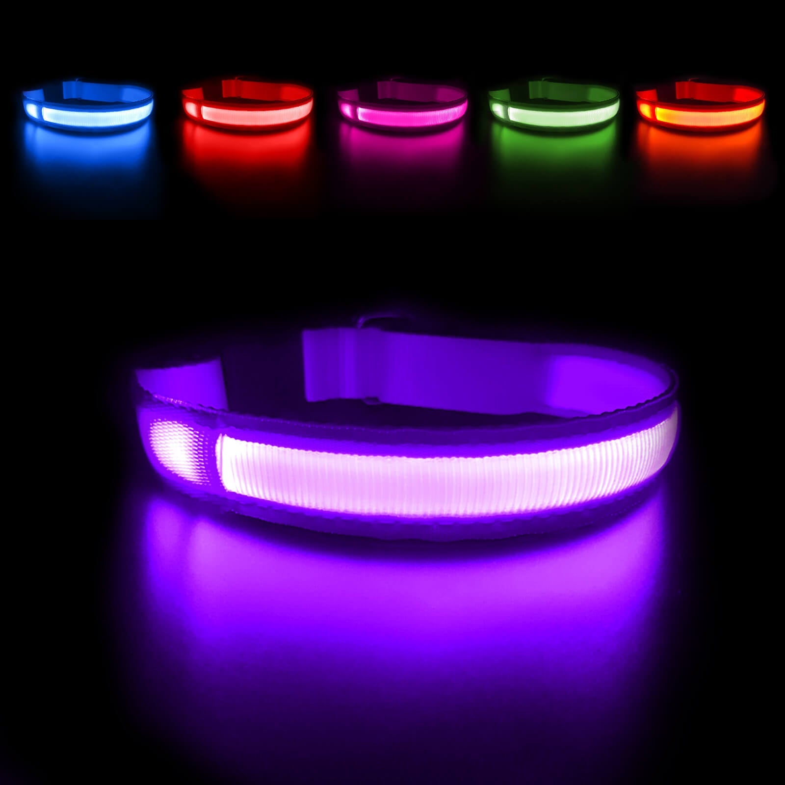 Rechargeable Waterproof Light-Up Dog Collar