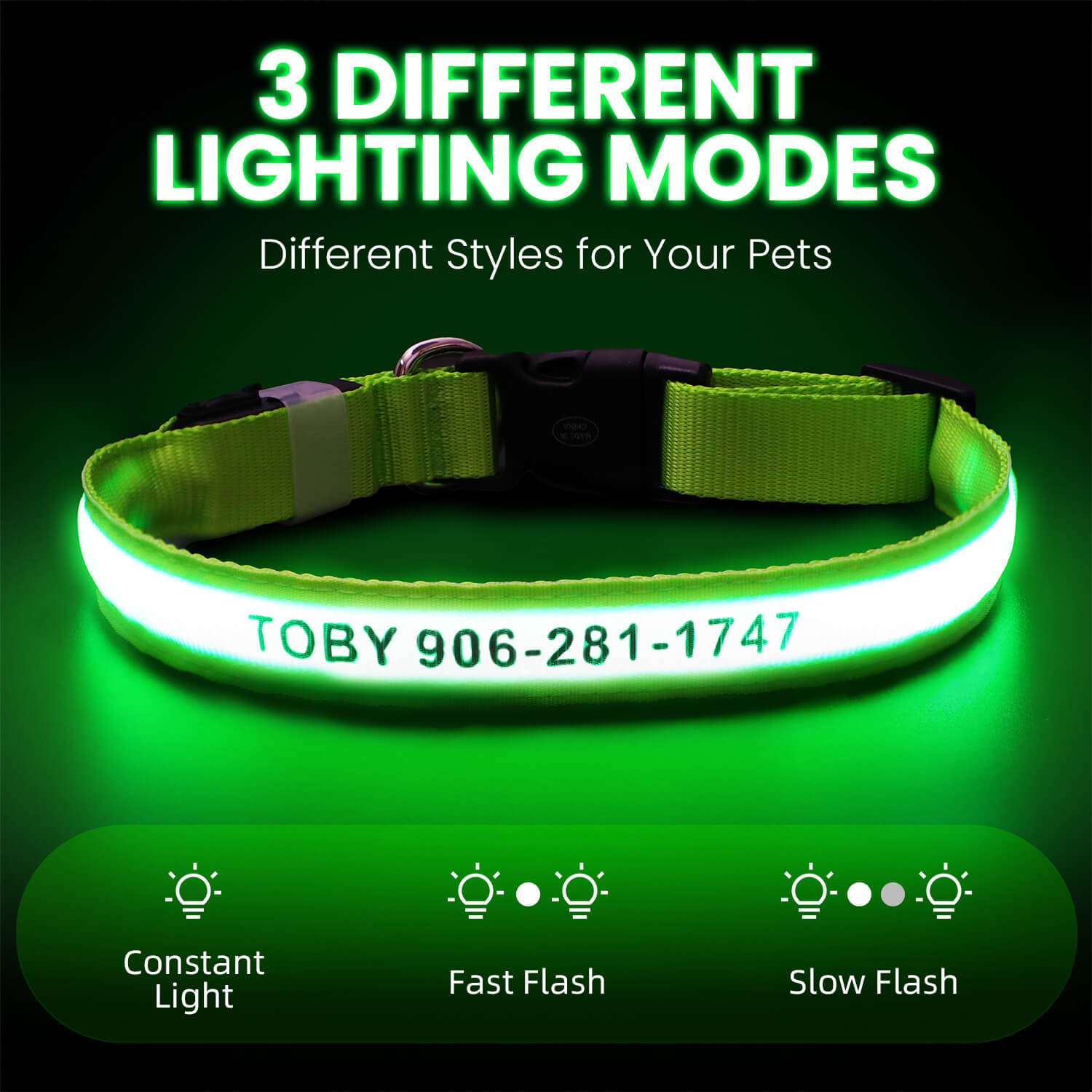 Custom LED Dog Collar with Name