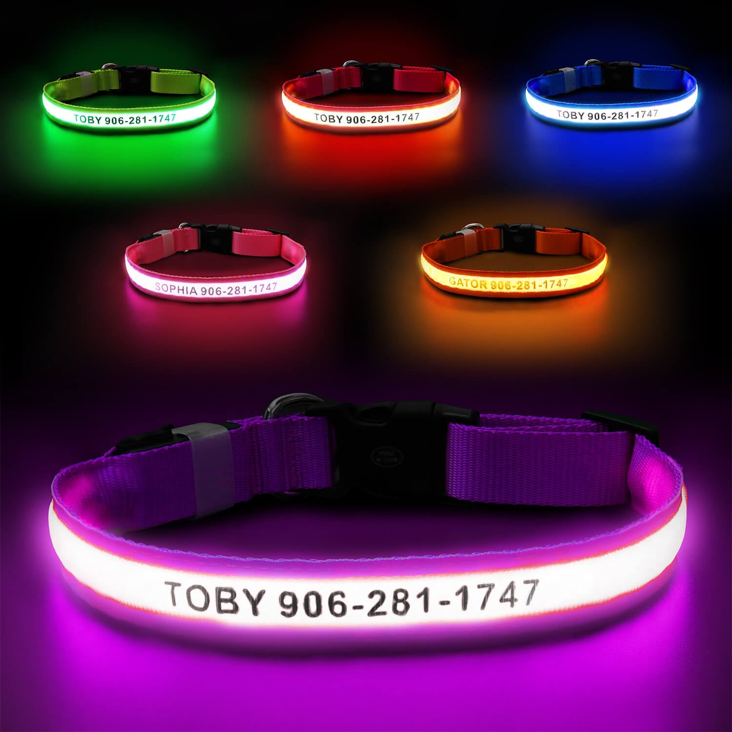 Custom LED Dog Collar with Name