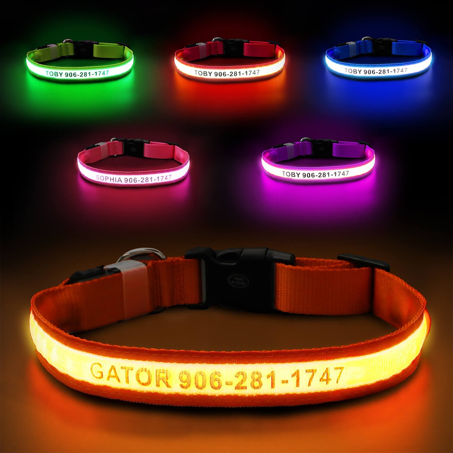 Custom LED Dog Collar with Name