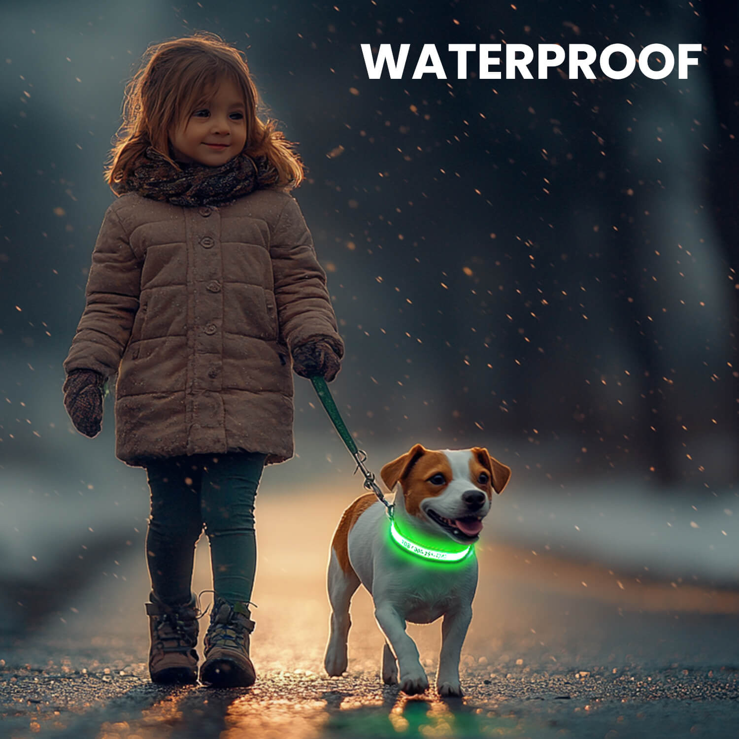Custom LED Dog Collar with Name