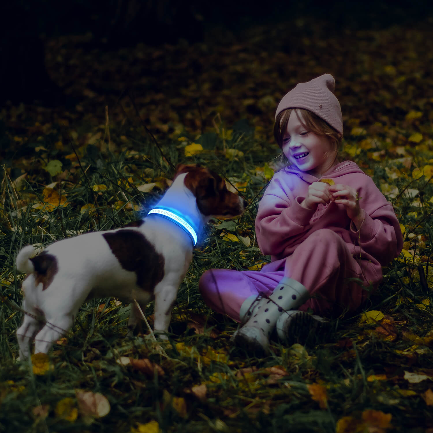 Custom LED Dog Collar with Name