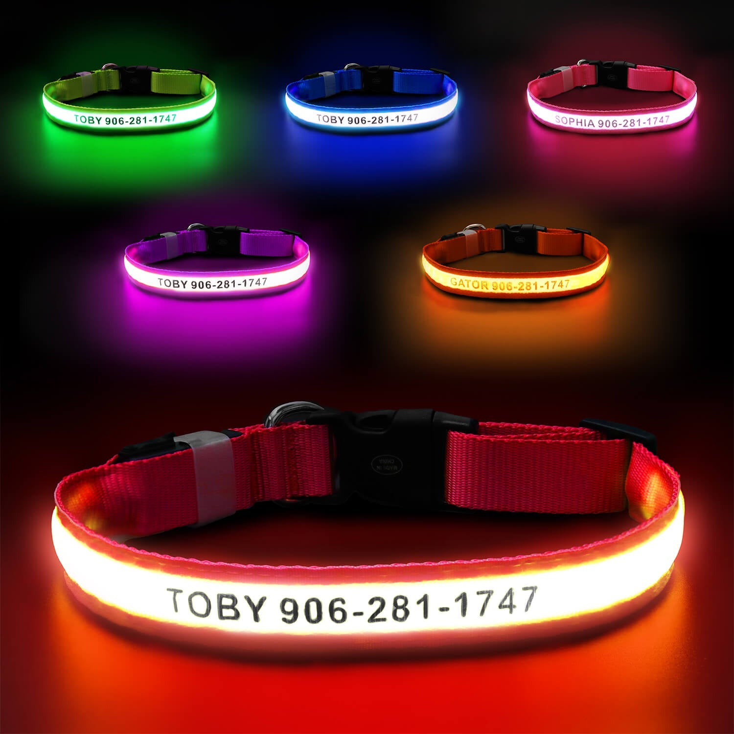 Custom LED Dog Collar with Name