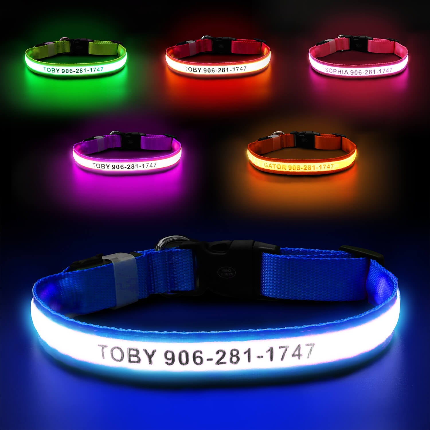 Custom LED Dog Collar with Name