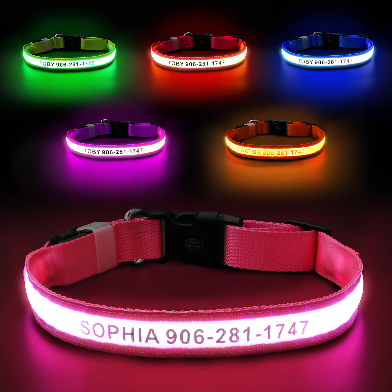 Custom LED Dog Collar with Name