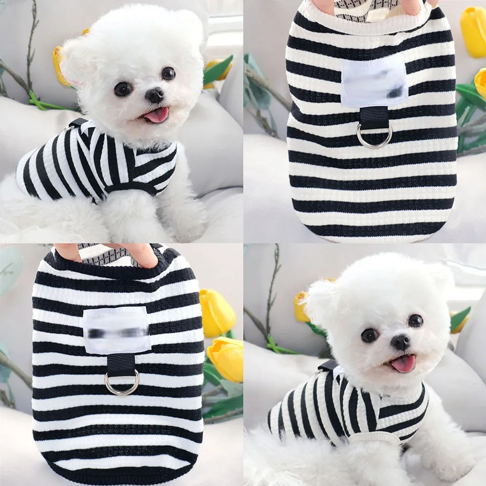 striped dog dress, summer dog dress, dog sundress, cute dog outfit, fashionable dog clothes, leashable dog dress, soft dog dress, dog dress with leash hole, small dog clothes, stylish dog apparel, pet summer dress, dog fashion dress, breathable dog dress, puppy summer outfit, designer dog dress