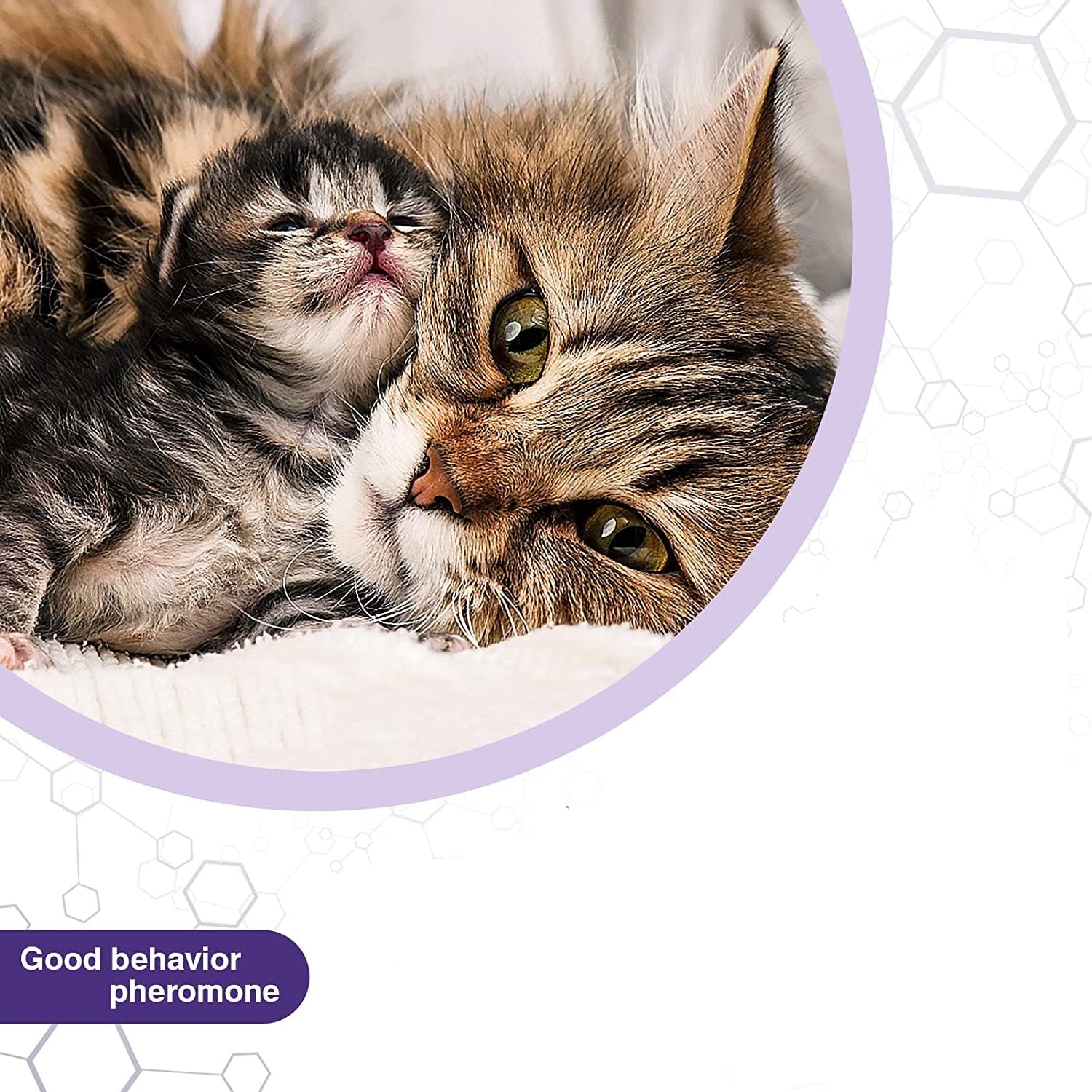Behavior and Calming Collar for Cats 4pcs- 38cm