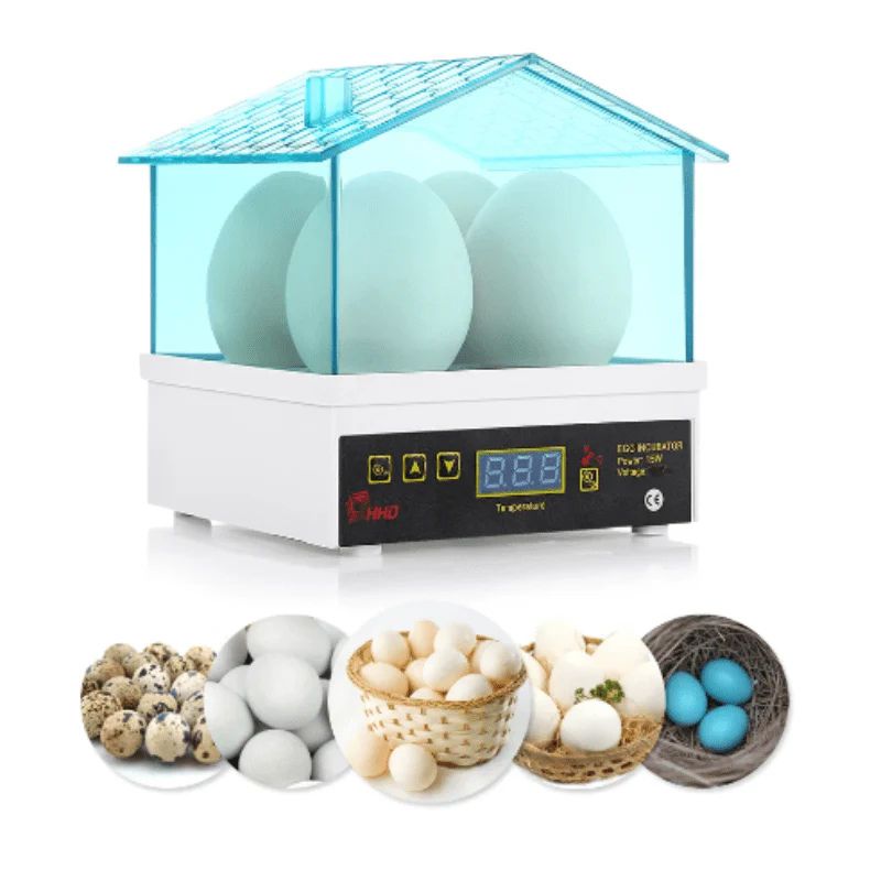 Chicken Coops & Accessories