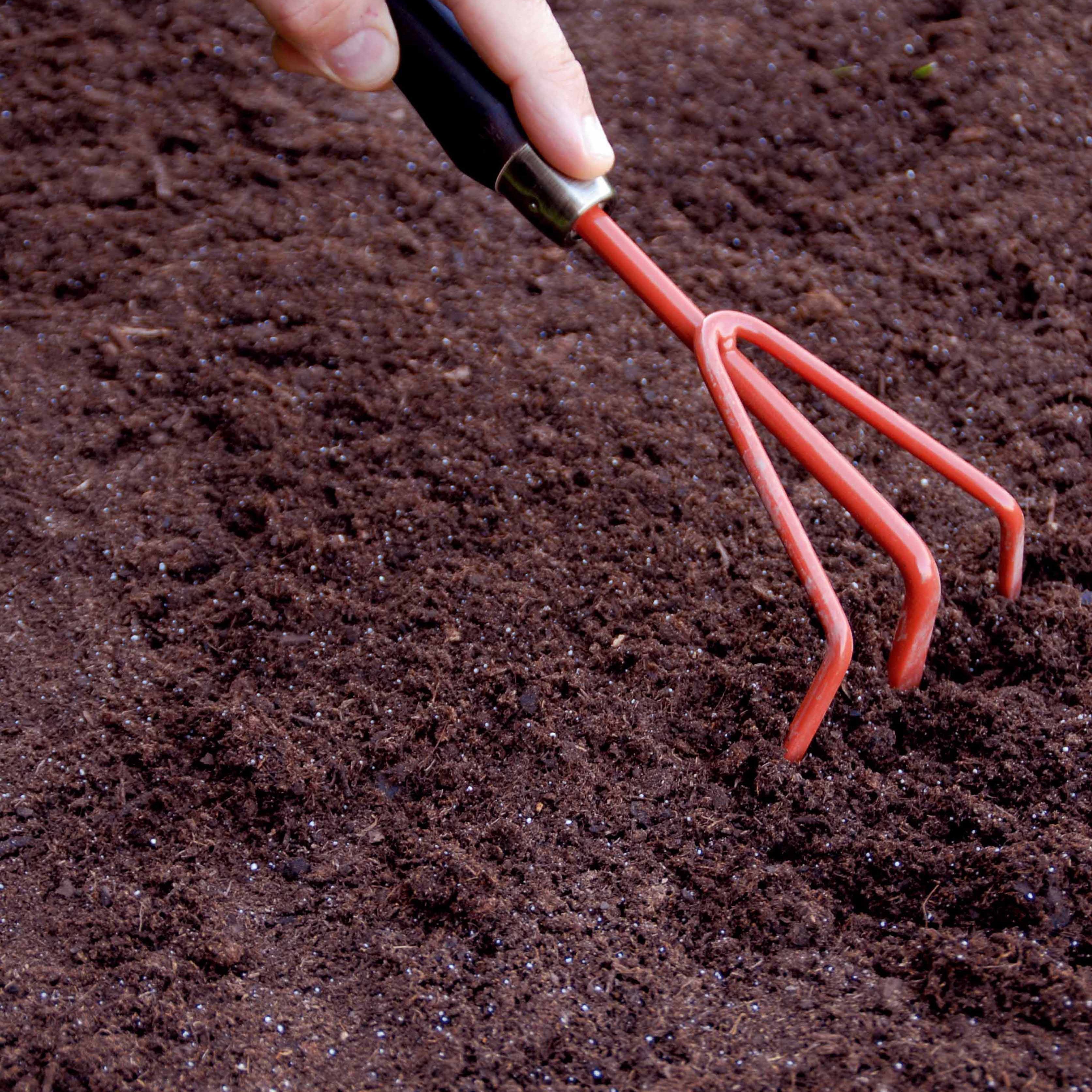 5 Sunny Bed Seed Mats