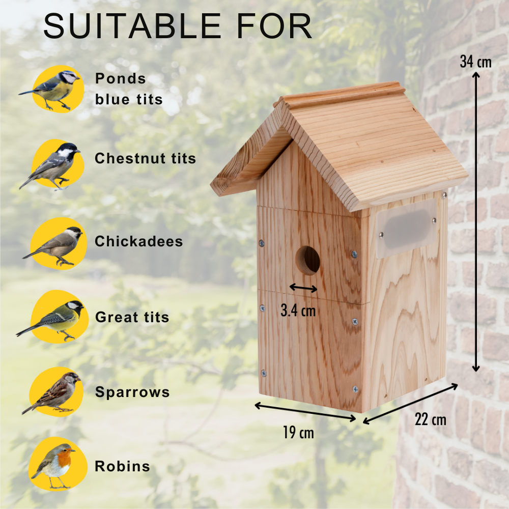 Birdhouse with HD Camera and Solar Panel