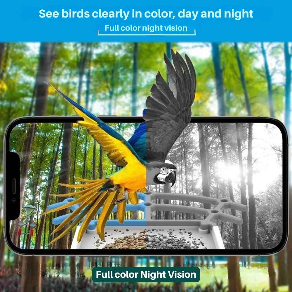 Connected Bird Feeder with HD Camera 2.5K – Solar, WiFi/4G, Night Vision