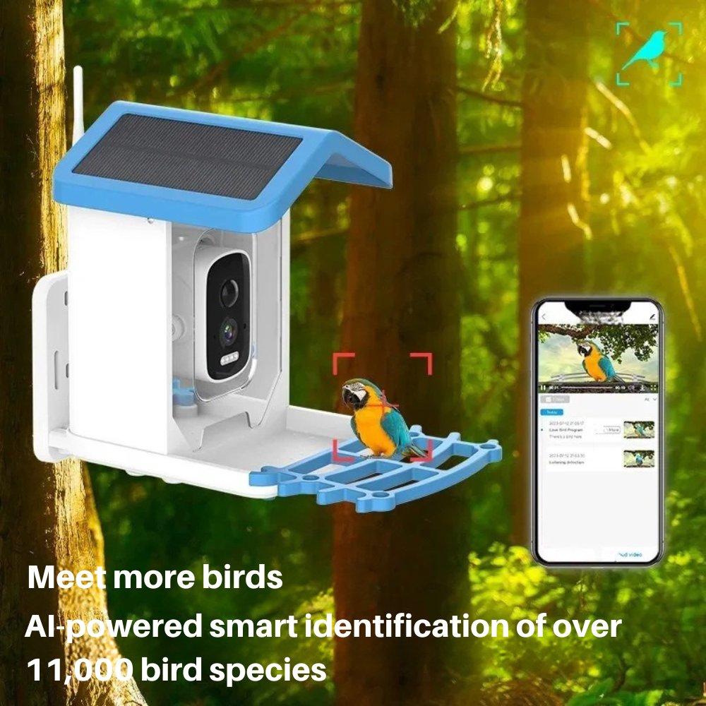 Connected Bird Feeder with HD Camera 2.5K – Solar, WiFi/4G, Night Vision