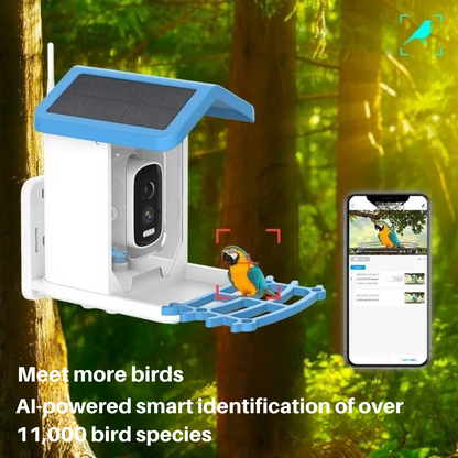 Connected Bird Feeder with HD Camera 2.5K – Solar, WiFi/4G, Night Vision