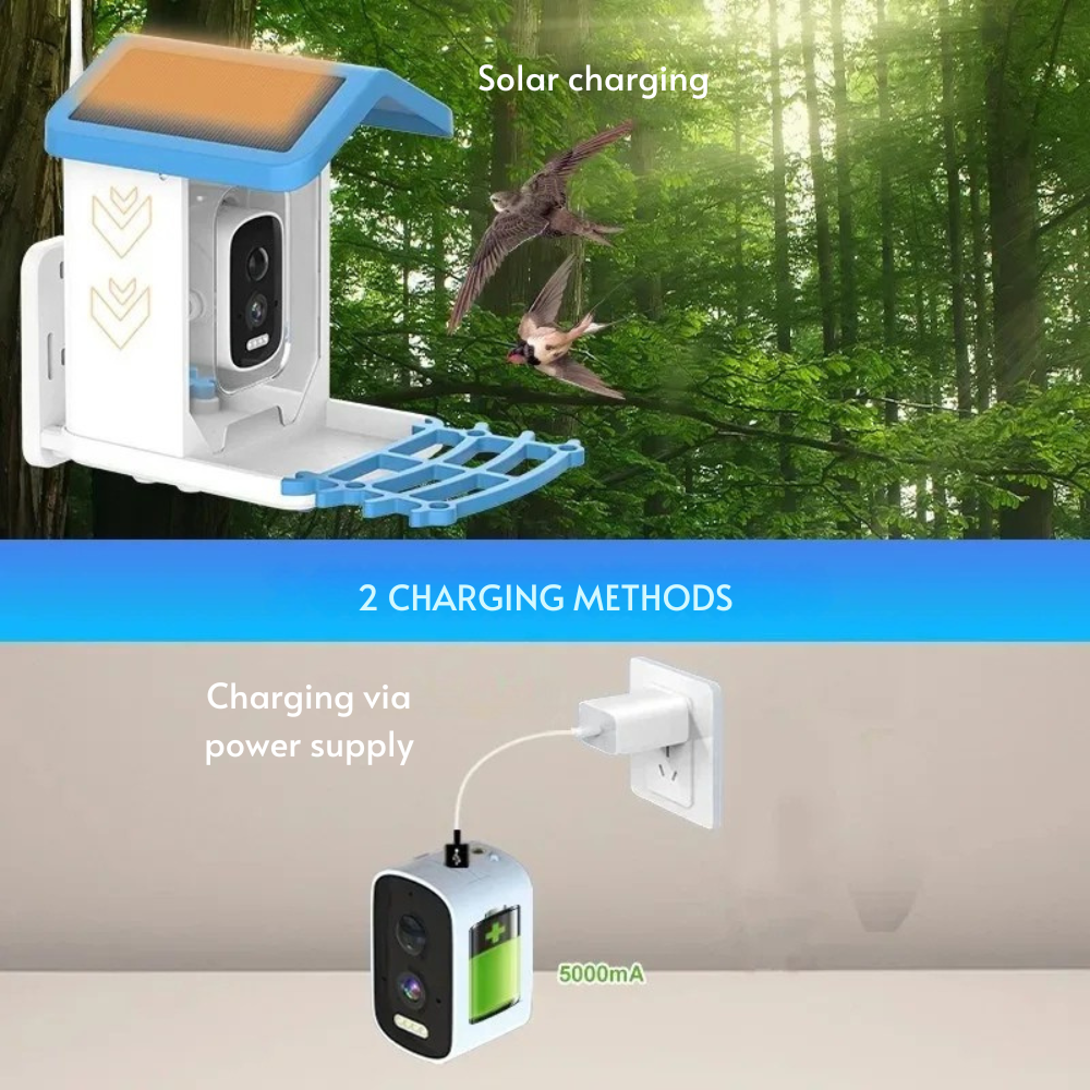 Connected Bird Feeder with HD Camera 2.5K – Solar, WiFi/4G, Night Vision