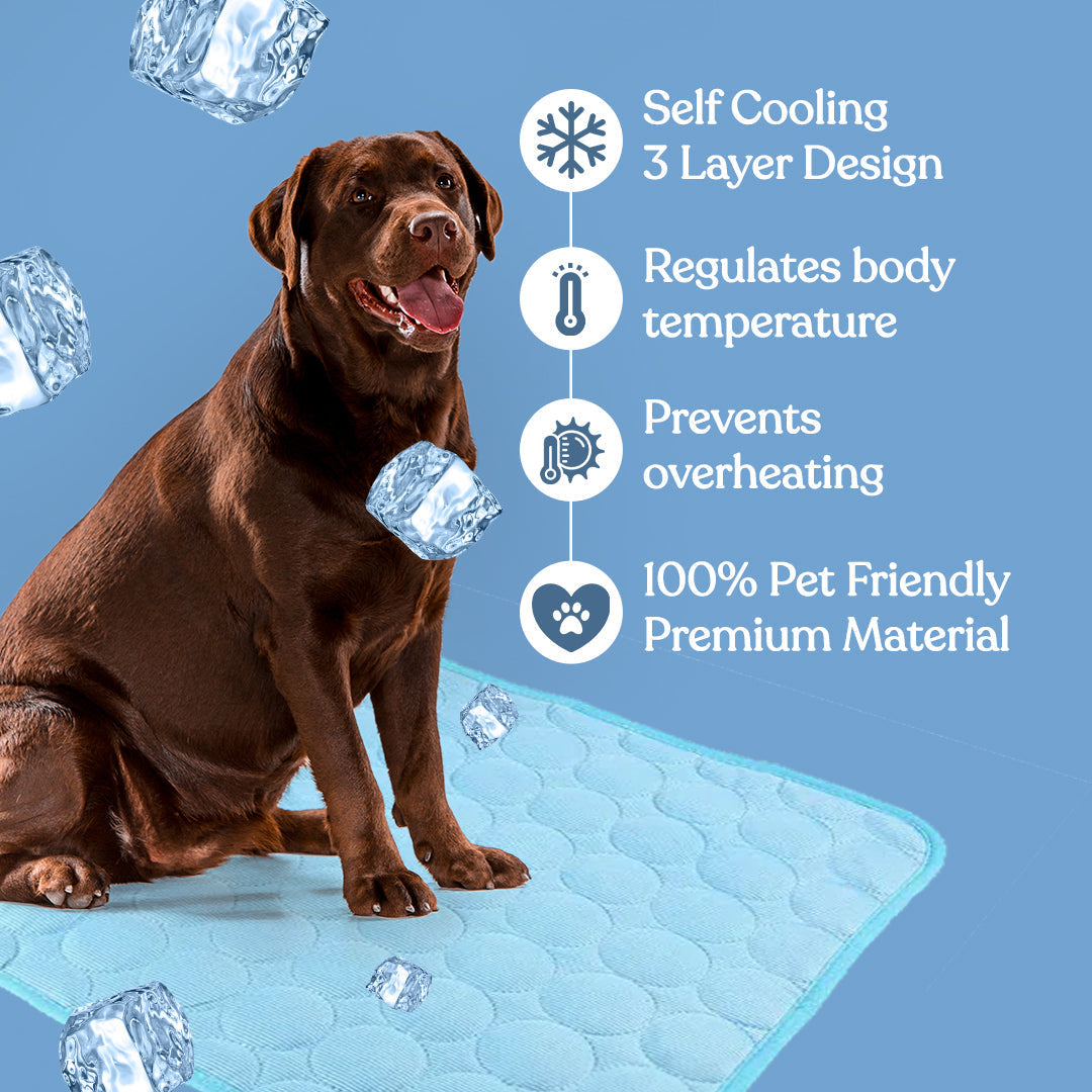 Pet Cooling Mat
