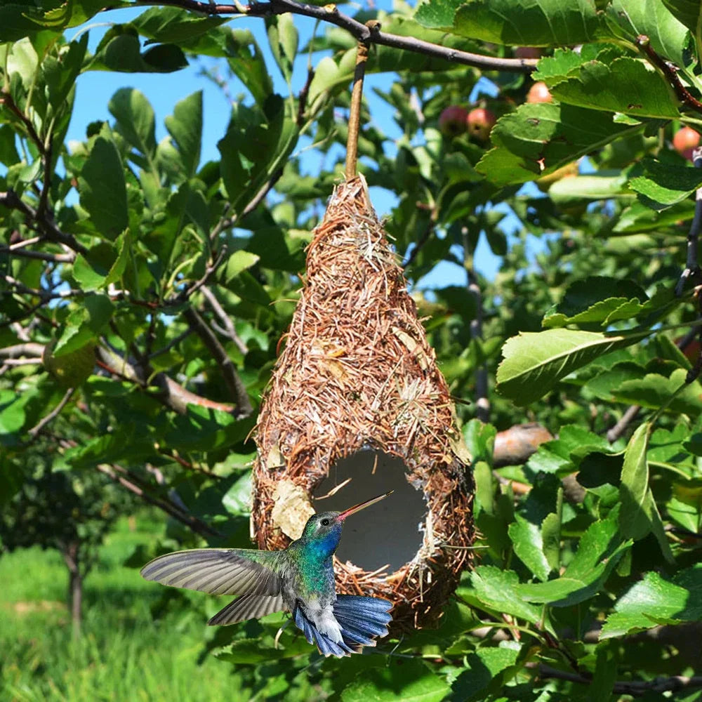 hummingbird feeder, hummingbird bird feeder, birdhouse, birdhouse house, hummingbird