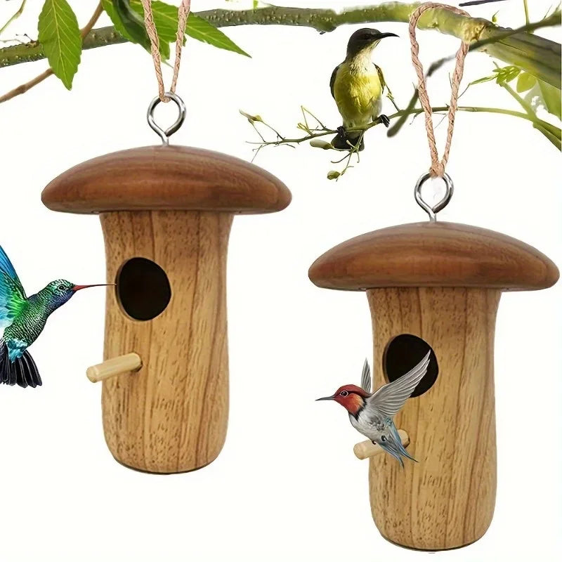 hummingbird feeder, hummingbird bird feeder, birdhouse, birdhouse house, hummingbird