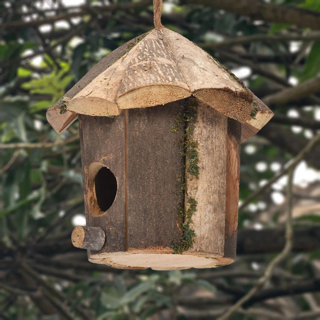 hummingbird feeder, hummingbird bird feeder, birdhouse, birdhouse house, hummingbird