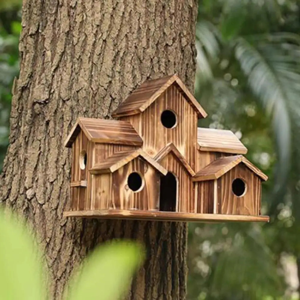 hummingbird feeder, hummingbird bird feeder, birdhouse, birdhouse house, hummingbird