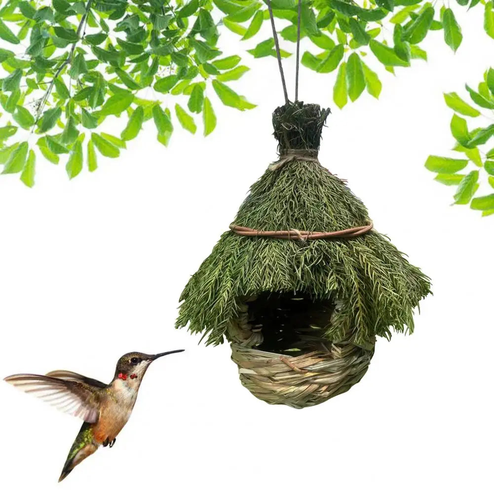 hummingbird feeder, hummingbird bird feeder, birdhouse, birdhouse house, hummingbird