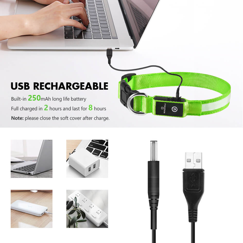 Rechargeable Waterproof Light-Up Dog Collar