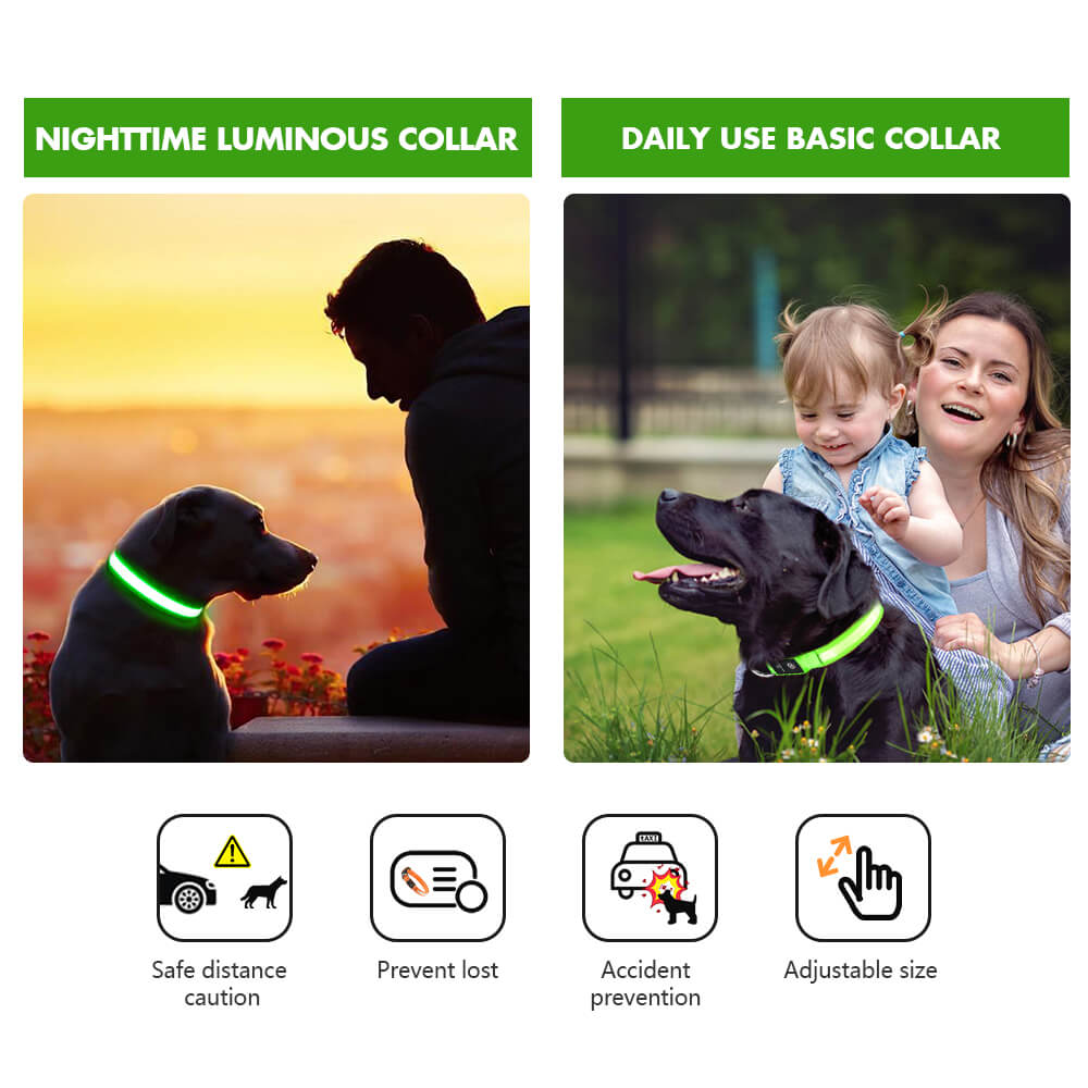 Rechargeable Waterproof Light-Up Dog Collar