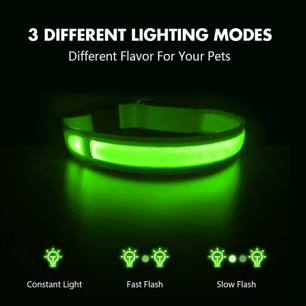 Rechargeable Waterproof Light-Up Dog Collar