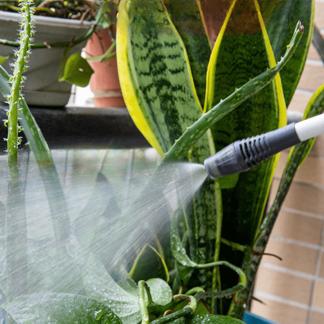 FlexiSpray - Rechargeable Electric Watering Sprayer | Tank Included