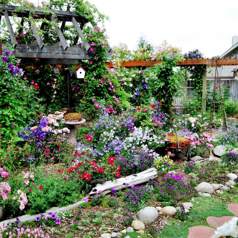 19 Wildflower Mix