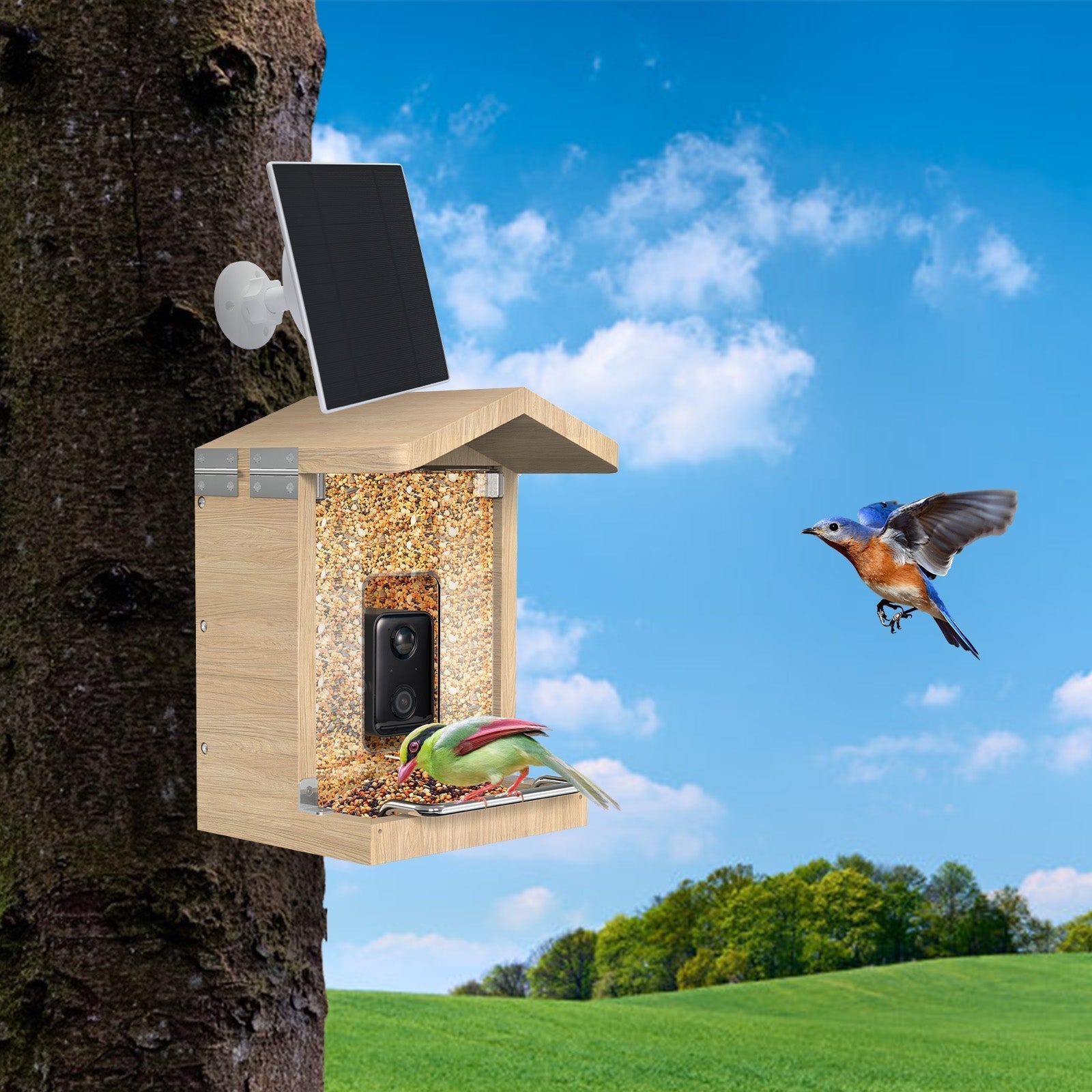 Birdhouse and Feeder with Camera – Complete Kit