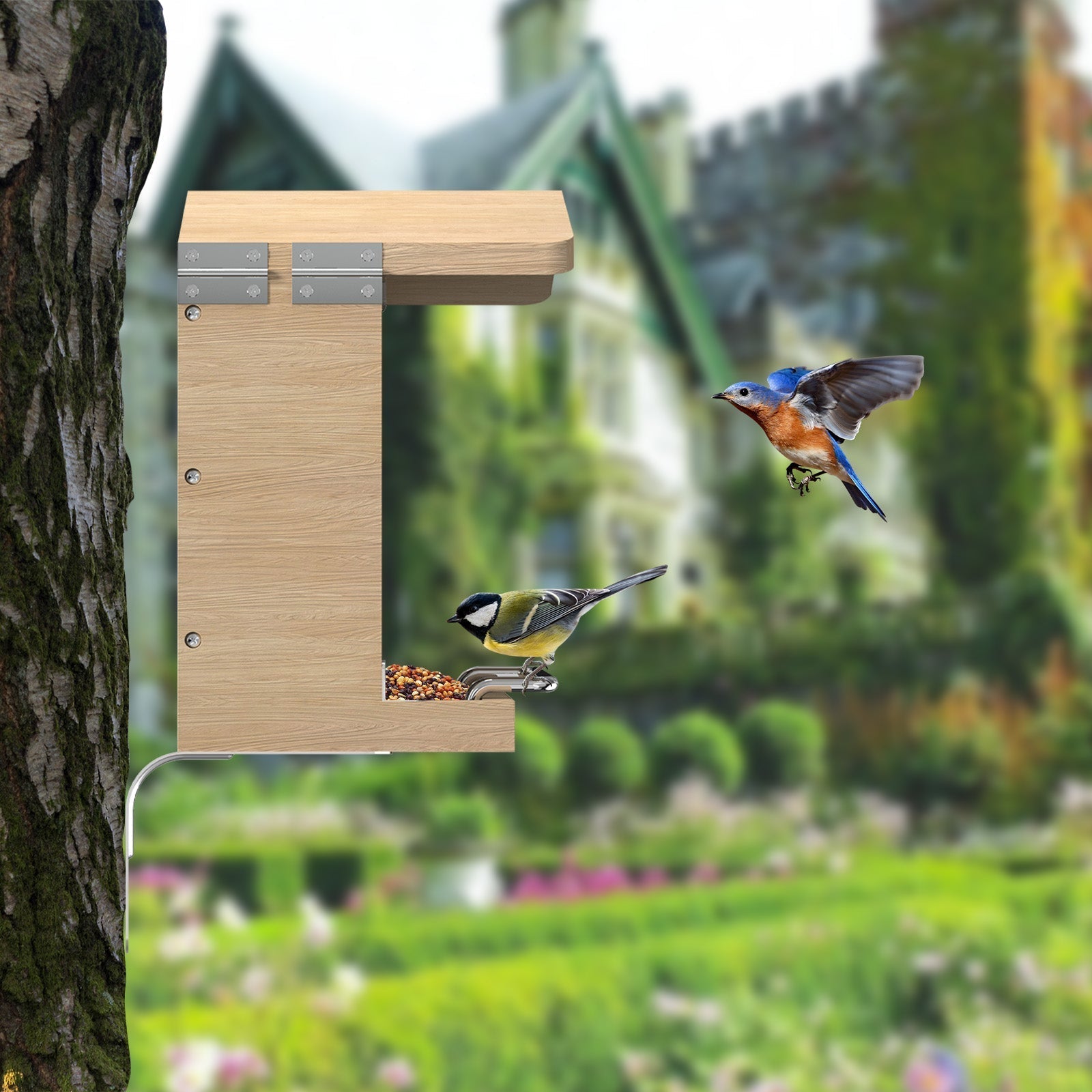 Intelligent Bird Feeder with HD Camera – Real-Time Surveillance