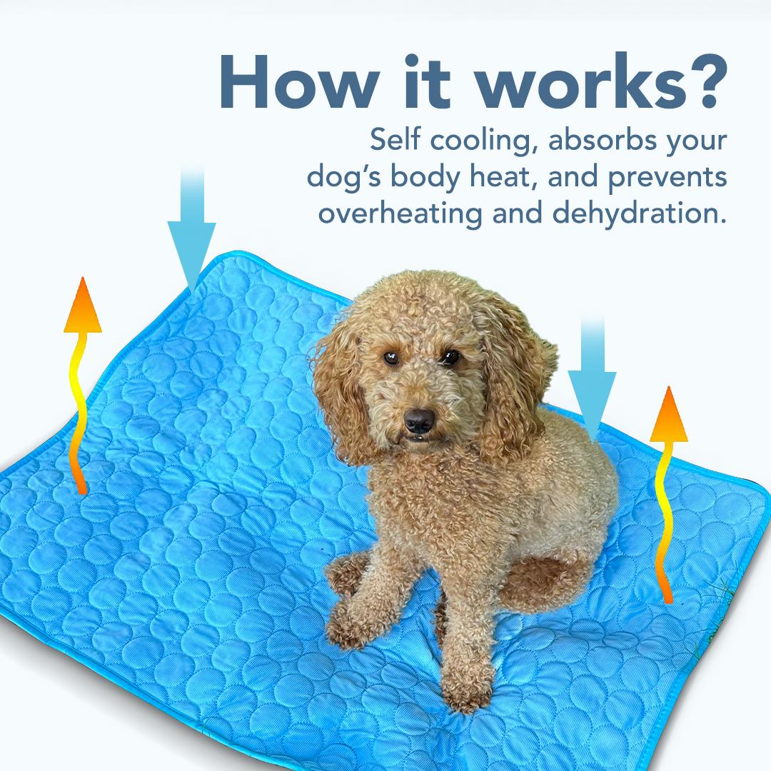 Pet Cooling Mat