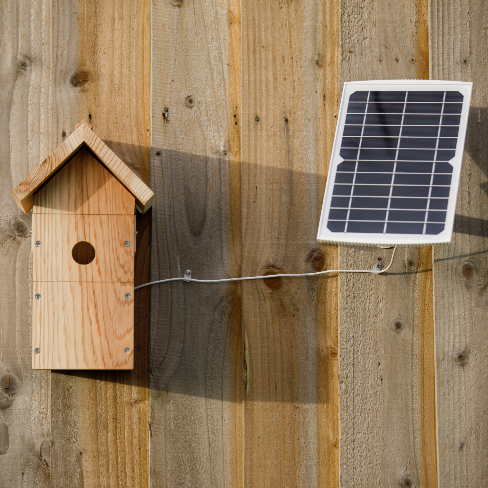 Birdhouse with HD Camera and Solar Panel