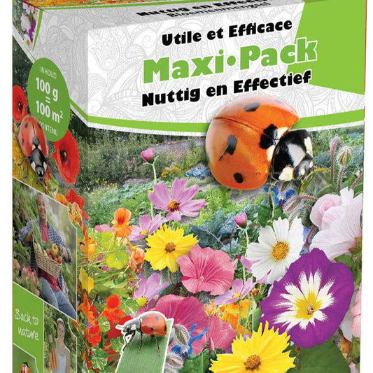 wild flower seeding, wildflower seed mix, seeds wildflower mix, wildflower seed mixture, wildflower mix, perennial wildflowers, wild flower seeds in bulk