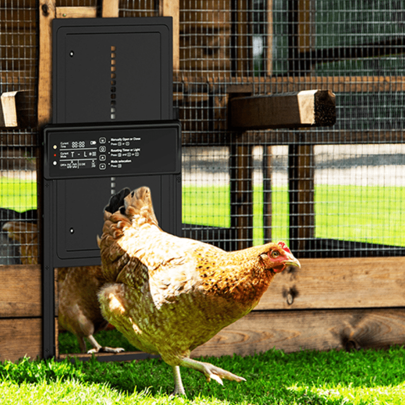 SolarGate - Solar Automatic Chicken Coop Door