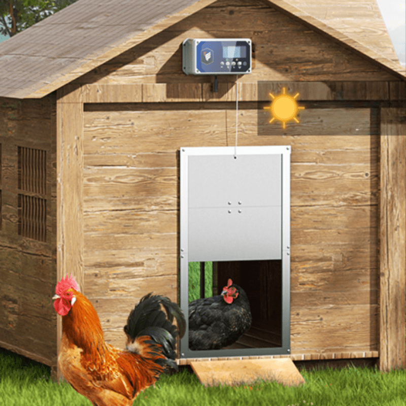 SecureDoor - Professional Automatic Chicken Coop Door