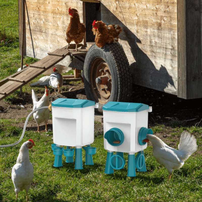 poultry feeder, chicken feeder, automatic chicken feeder, chicken coops







