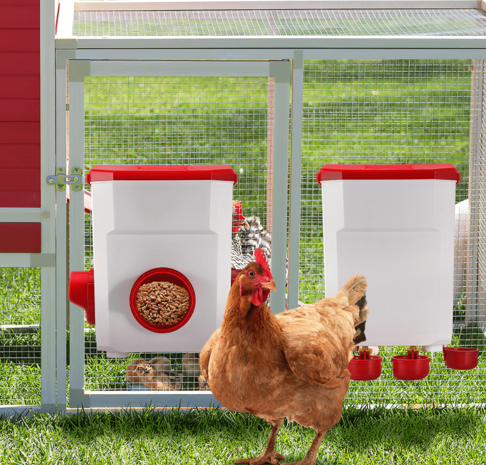 AutoFeeder - Automatic Chicken Feeder & Drinker