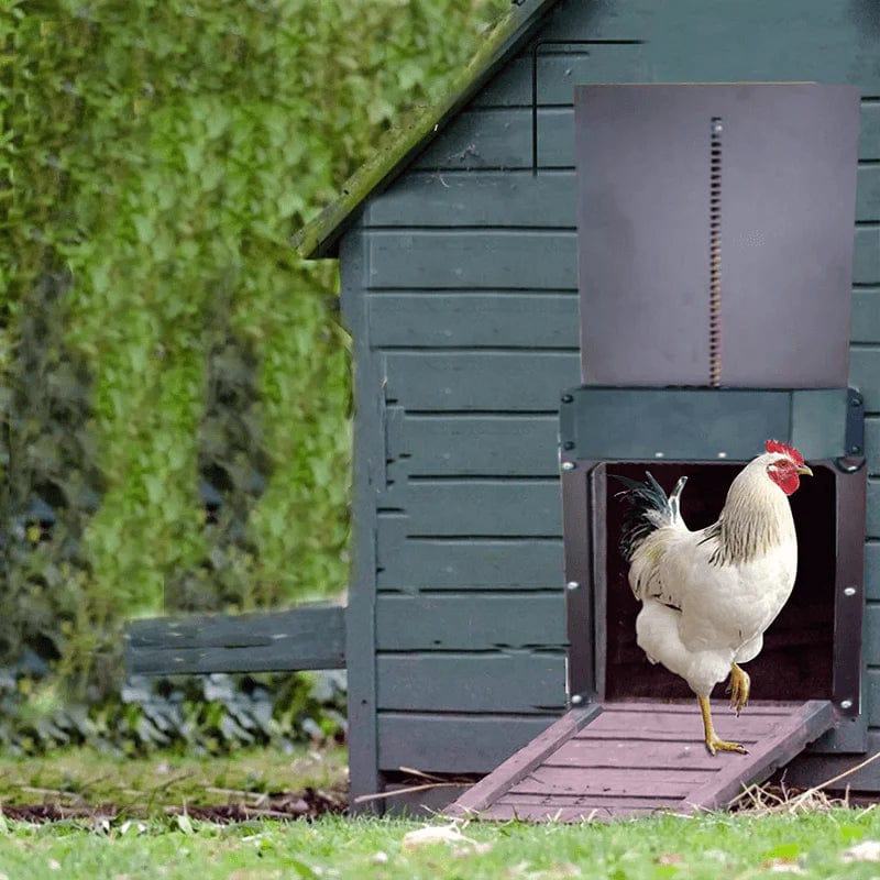 PoultiGuard - Automatic Chicken Coop Door