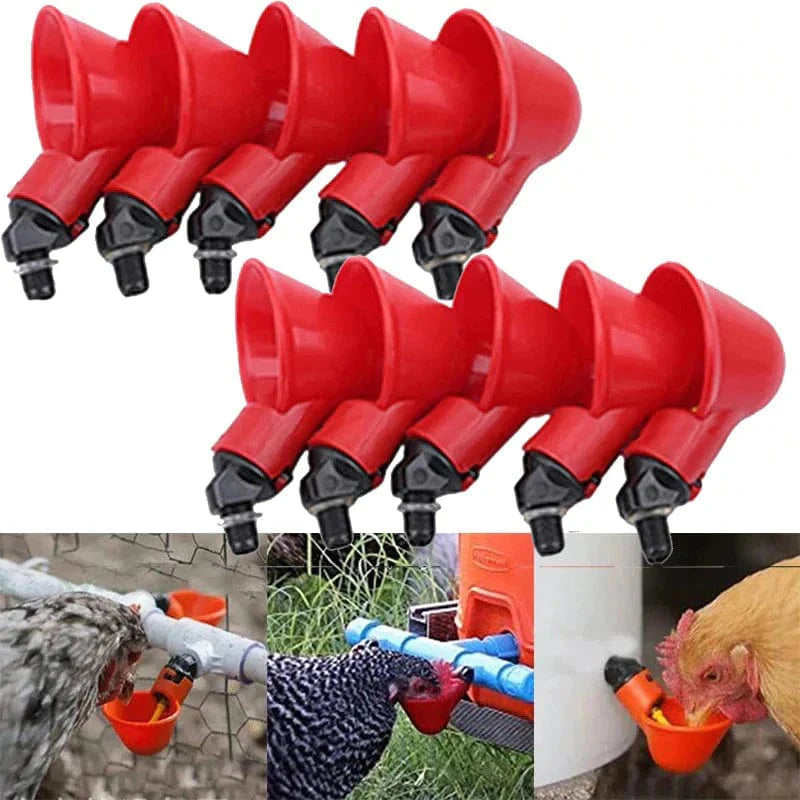 AquaPlume - Premium Automatic Poultry Waterer