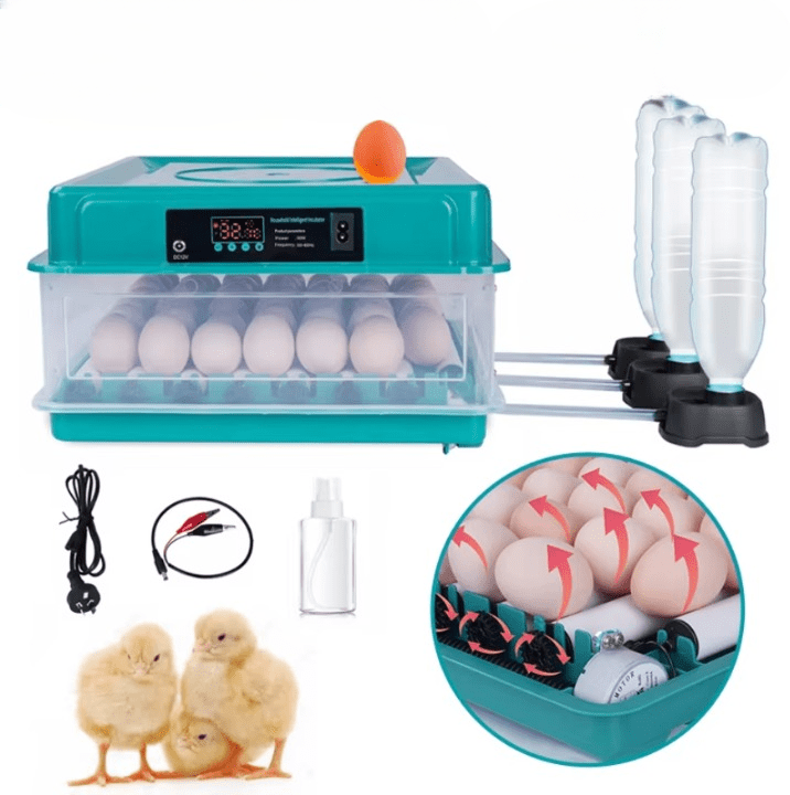 egg incubator, eggs for incubator, egg hatcher, chicken egg incubator







