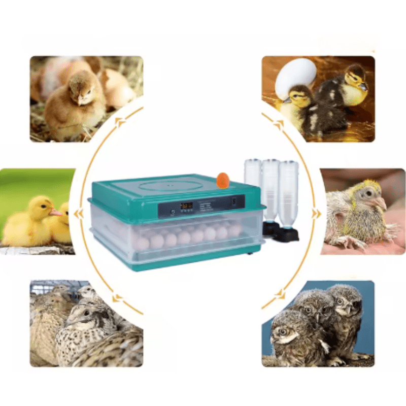 IncuPro - Professional Automatic Egg Incubator for Poultry