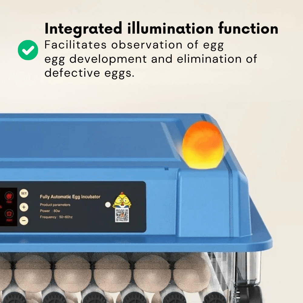 HatchTech - Professional Automatic Egg Incubator for Poultry