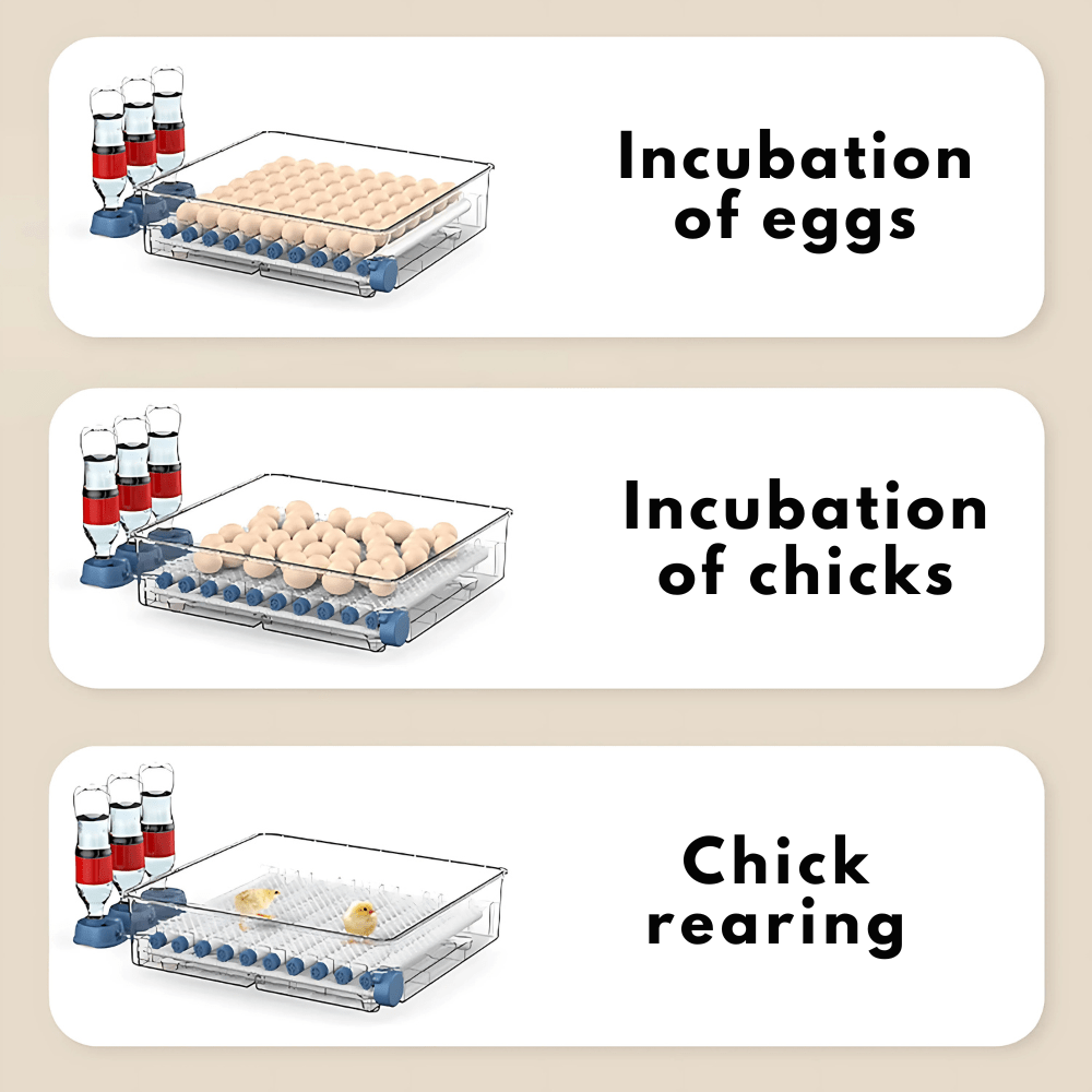 HatchTech - Professional Automatic Egg Incubator for Poultry