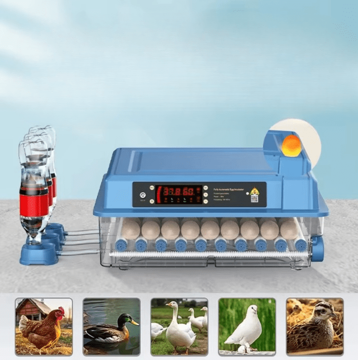 HatchTech - Professional Automatic Egg Incubator for Poultry