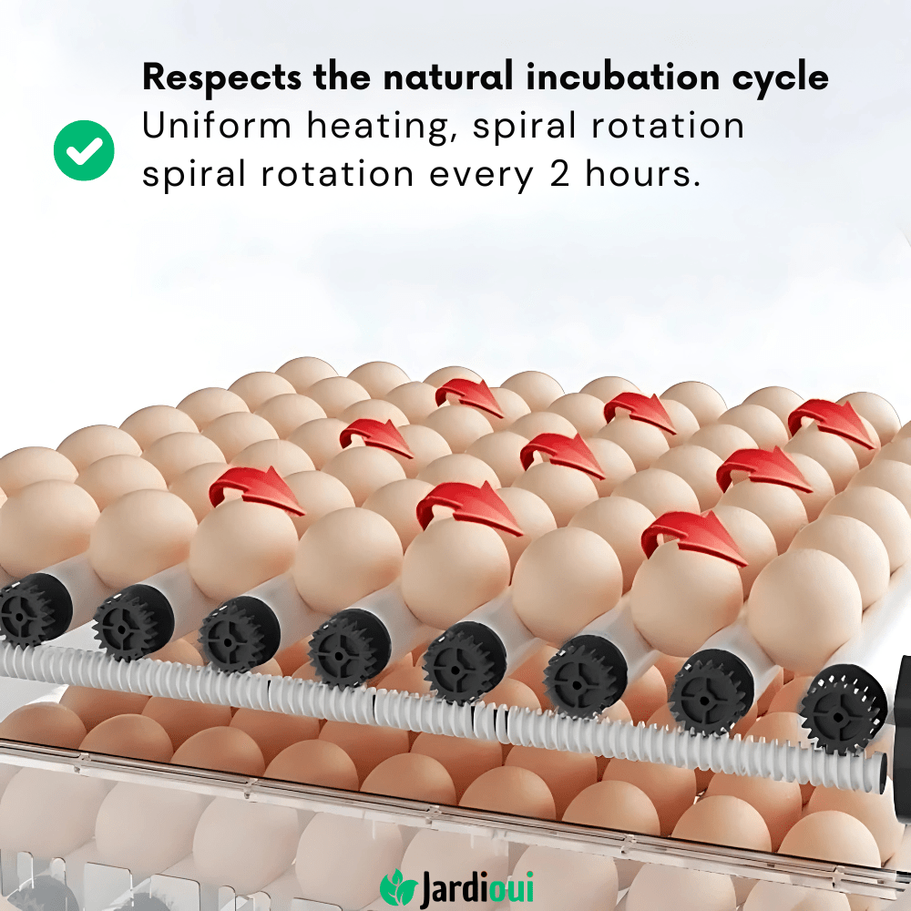 HatchTech - Professional Automatic Egg Incubator for Poultry